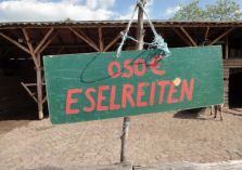 Eselreiten - 