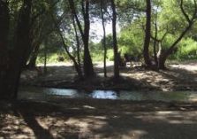 Eselwanderung - 