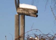 IMG_2715.JPG - 