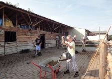 Feriencamp - 