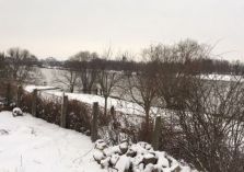 Platzimpressionen - 