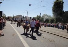 Sternreiterparade - 