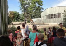 Zoo Dresden - 