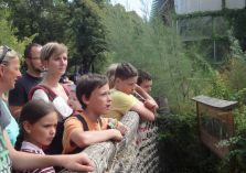 Zoo Dresden - 