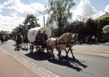 Sternenreiterparade - 