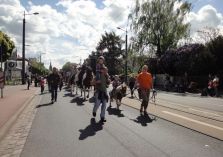 Sternenreiterparade - 