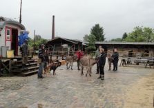 Montag 3.6. - Pegelstand: 6,45m
Evakuierung der Esel ins Panama
Überführung der Esel durch die Neustadt