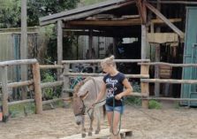 Übungen auf dem Reitplatz - 