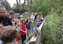 Im Zoo - Die Katas - 