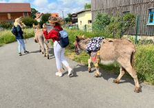 Eselführen - 