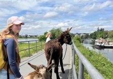 Auf dem Weg zum Karl May Fest - 