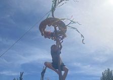 Kletterbaum - 
