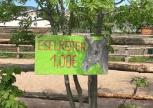 Eselreiten - 
