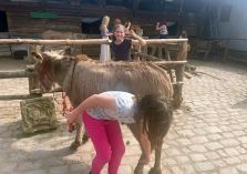 Eselreiten - 