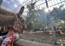  Weg zum Karl May Fest - 