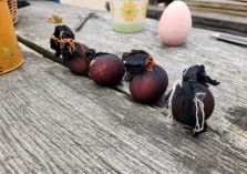 Ostereier färben - 