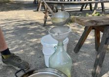 Holundersirup selber herstellen - 