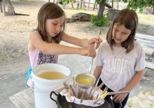 Holundersirup selber herstellen - 