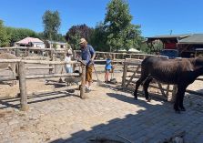 Eseldienst - 