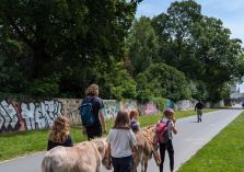 Eselwanderung - 