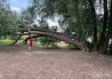 Eselwanderung - 