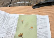 Papier selber Herstellen - 