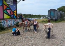 Eselwanderung - 