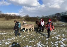 Eselwanderung - 