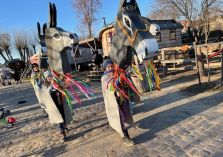 Vorbereitung Wintervertreibung - 