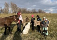 Eselwanderung - 